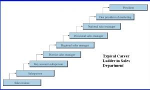 careerinsales
